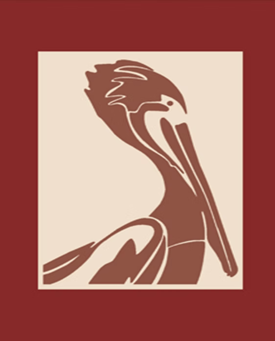 Brown Pelican Abstract & Title